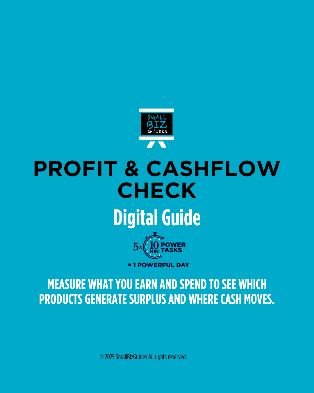 Profit & Cash Flow Check